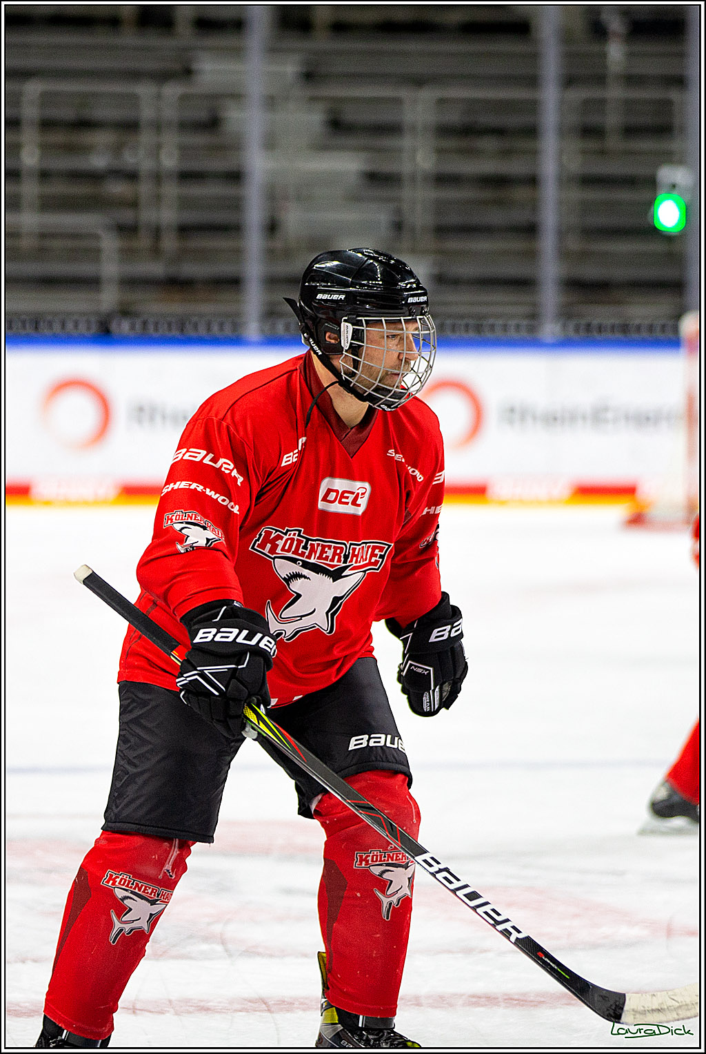 PENNY DEL; Koelner Haie- Red BUll Muenchen Sponsorenspiel; Koeln, 08.11.2022